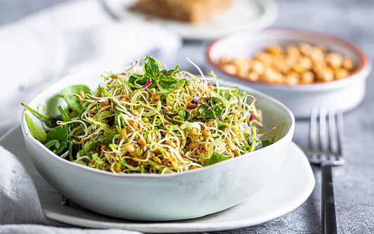 Sprouted Lentil Salad
