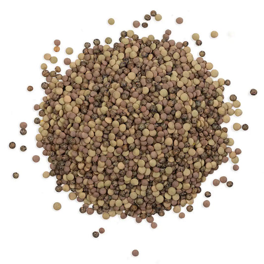 Lentils Together