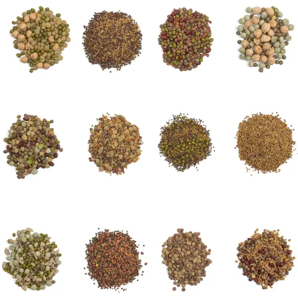 Sprouting seed mixes | Organic seeds bean salad mixes micro sprouts