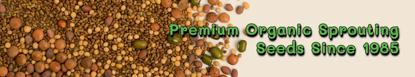 Sprouting seeds | Premium organic Non-GMO seeds for sprouting