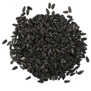 Baby black sunflower | Organic sprouting seeds microgreen sunflower sprouts
