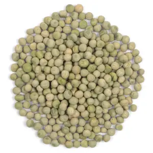 Green pea seeds | Sprouting seeds pea sprouts pea shoots