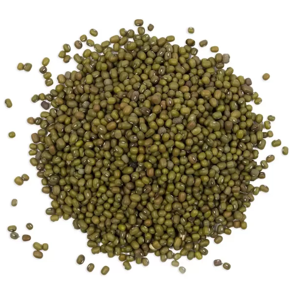 Mung Bean Seeds | Sprouting seeds green beans micro sprouts