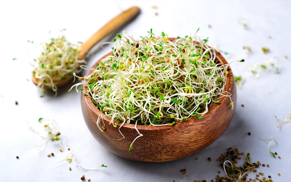 Recipe | Refreshing summer salad alfalfa sprouts mung bean sprouts